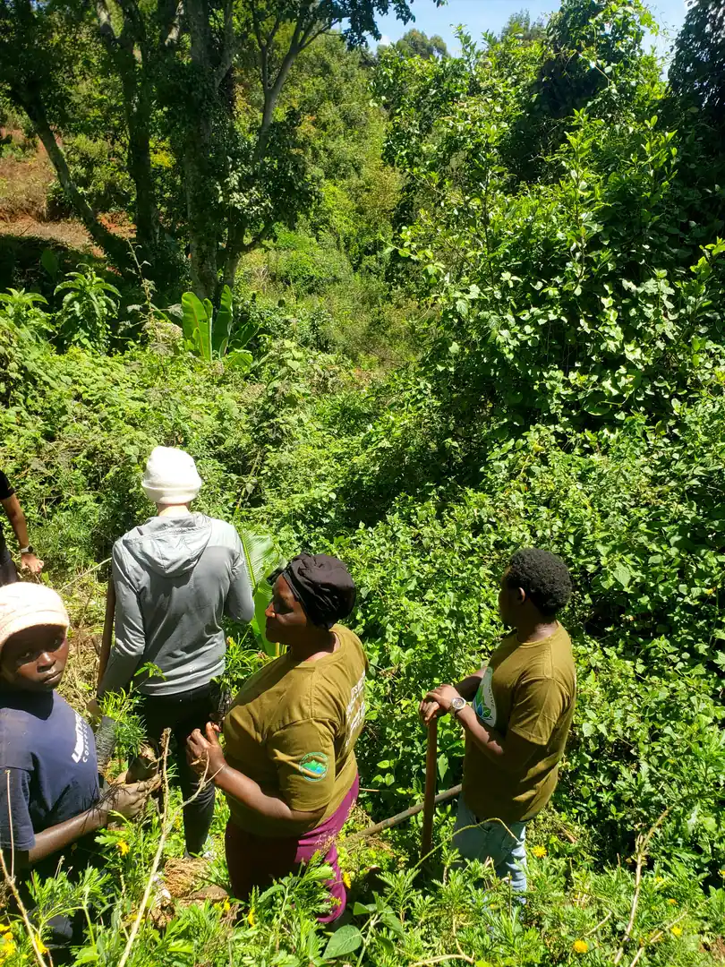 Environmental Conservation & Tree Planting
