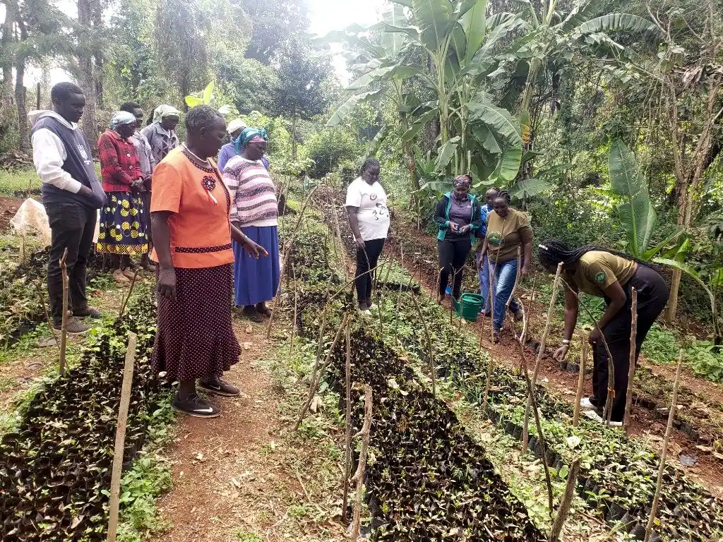 Youth & Community Development