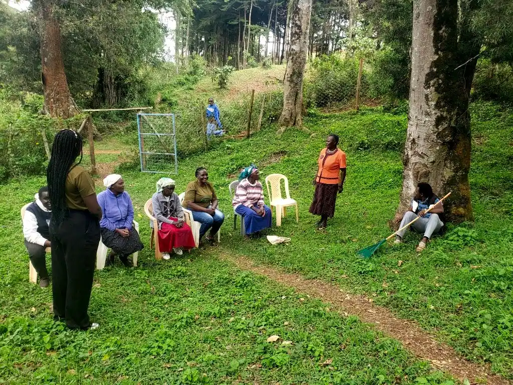 Community Action & Partnerships