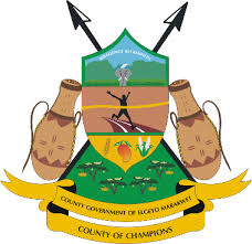Civic Partner